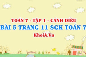 Bài 5 trang 11 SGK Toán 7 tập 1 Cánh Diều